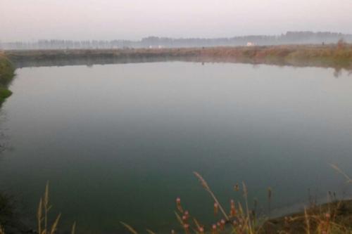 深圳水質(zhì)檢測(cè) 深圳水質(zhì)檢測(cè)